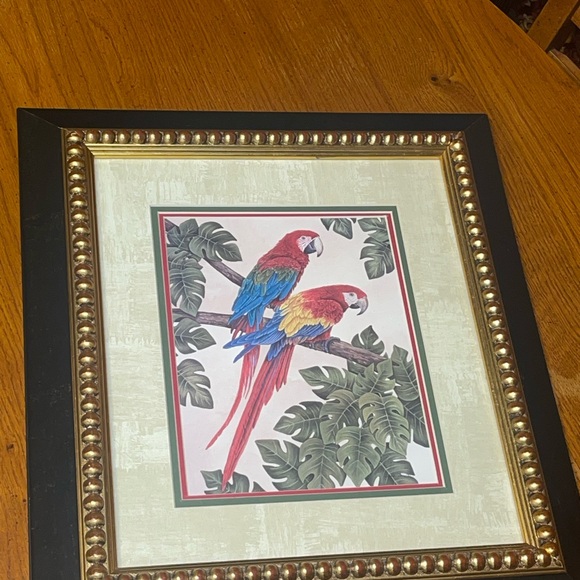 Parrot Artwork - Picture 5 of 8
